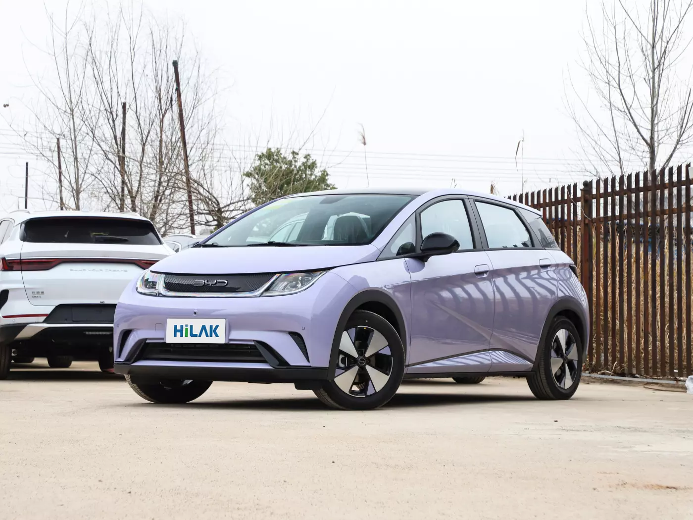 A left front view of a lavender BYD Dolphin electric car.