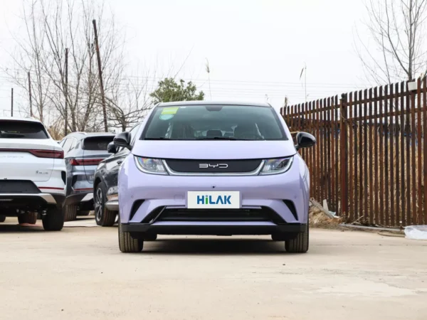 A front view of a lavender BYD Dolphin electric car with the vehicle parked on a concrete pavement next to a wooden fence.